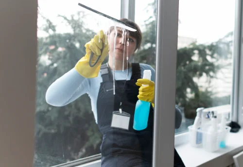 Nettoyage de vitres intérieures et extérieures à Bellegarde-Marsal